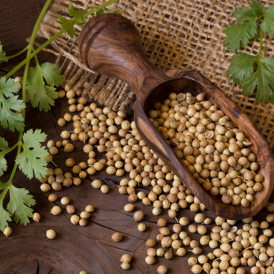 The Richness of Flavor: Discover Mandar Spices