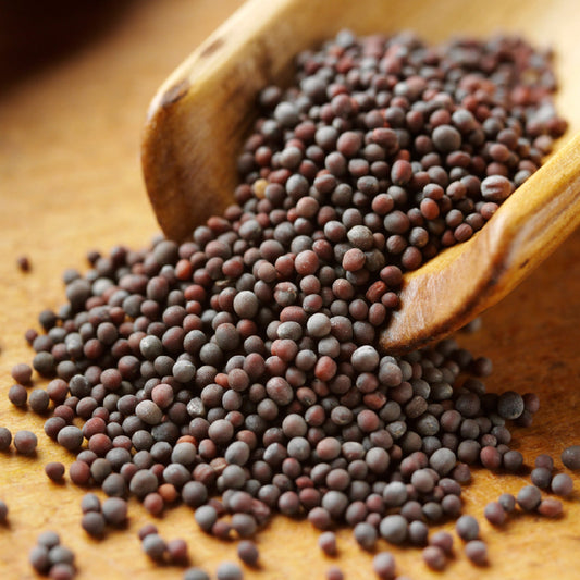 Unlock the Authentic Flavors of India with Mandar Spices