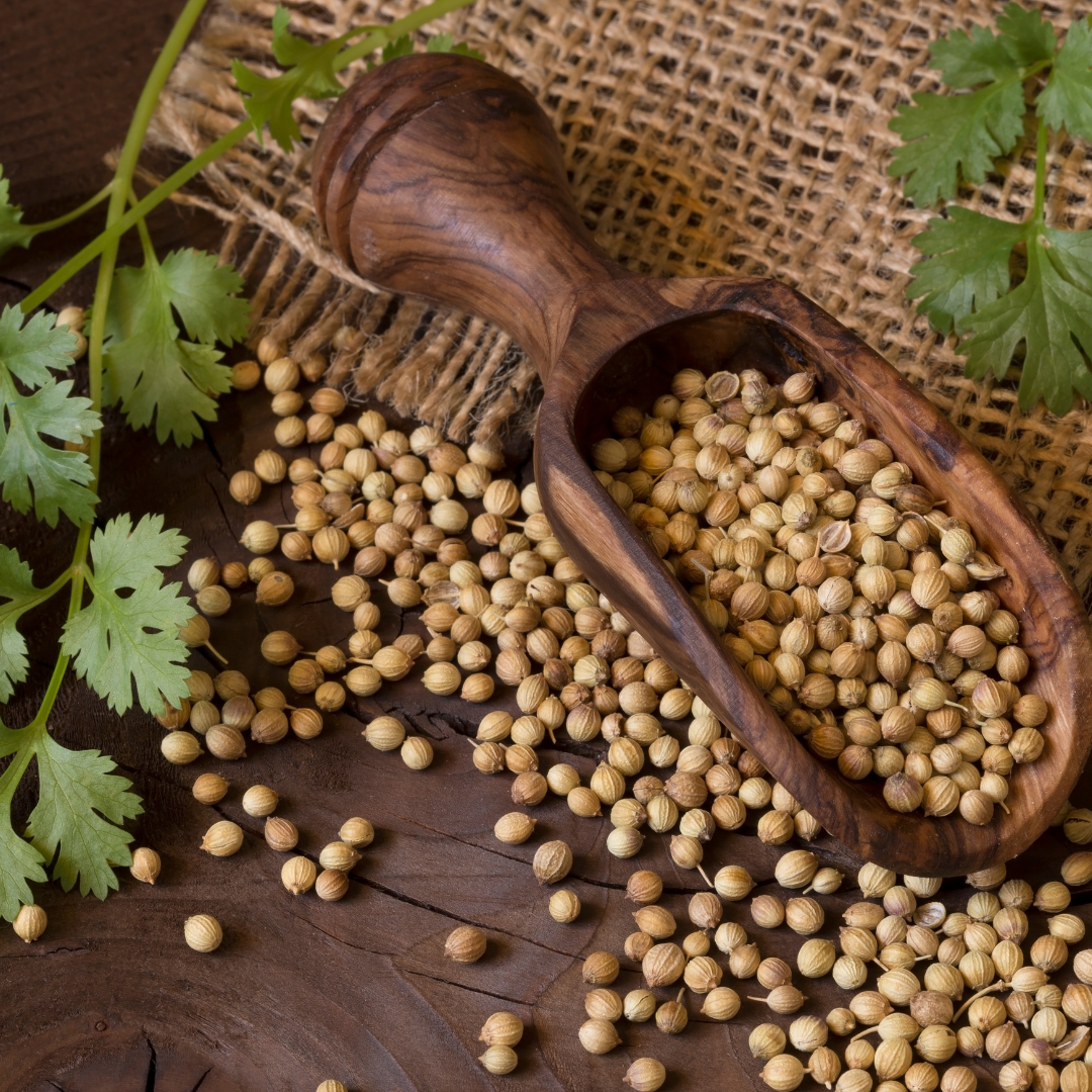 The Richness of Flavor: Discover Mandar Spices