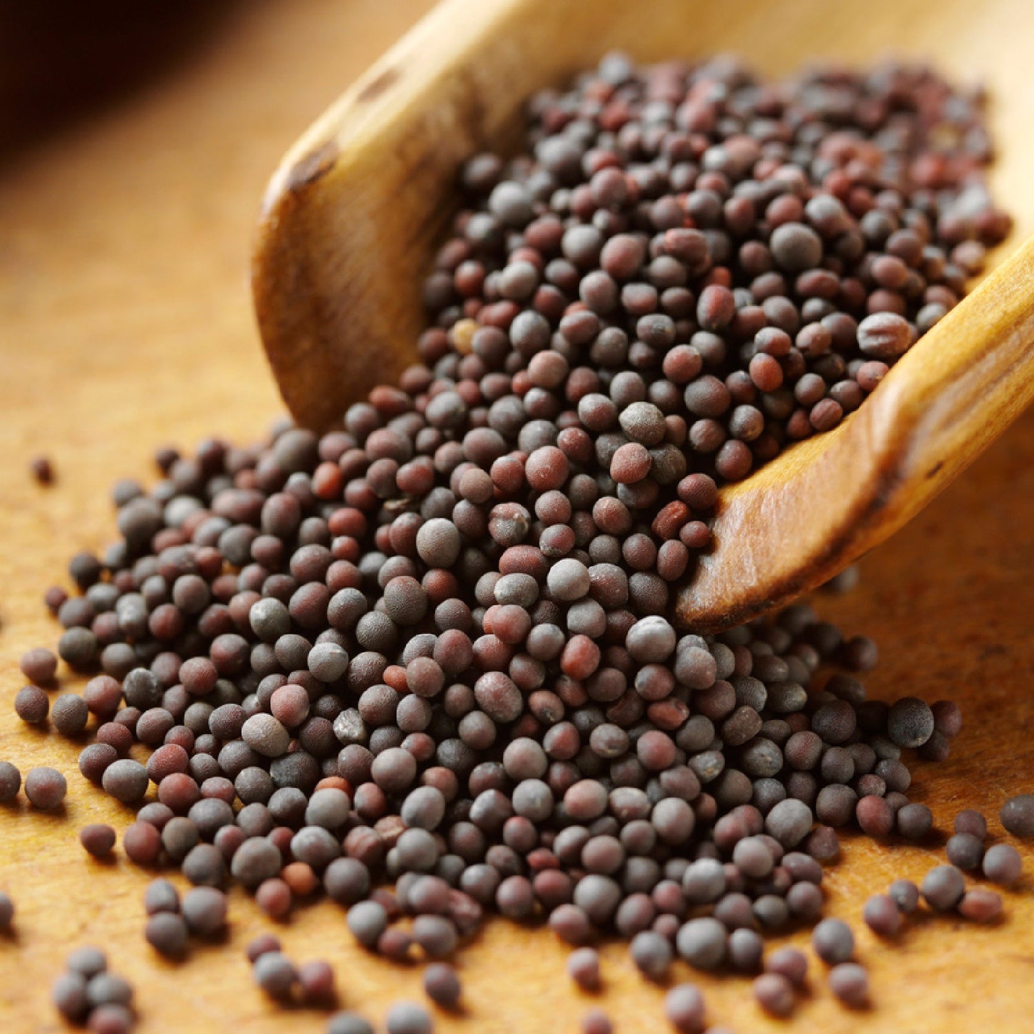 Unlock the Authentic Flavors of India with Mandar Spices